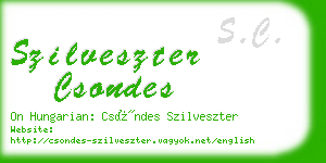 szilveszter csondes business card